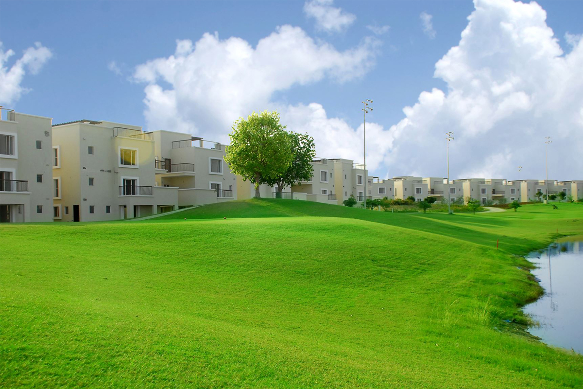 Welcome to Rapid Property Solutions